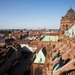 Urlaub mit Hund im Schwarzwald - OMP